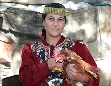 Eine ägyptische Frau mit einem Huhn in der Hand.