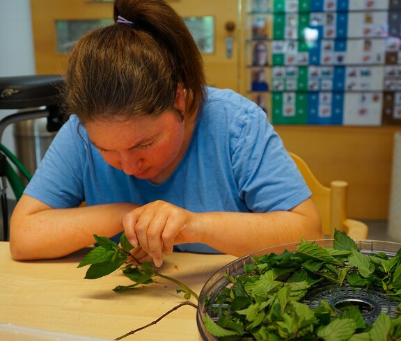 Klientin bei der Arbeit mit Kräutern
