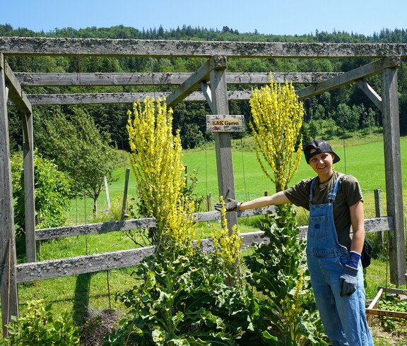 Gartenarbeit am Mathiashof  Eine Gärtnerin vor einem blühendem Beet